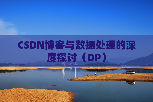 CSDN博客与数据处理的深度探讨（DP）