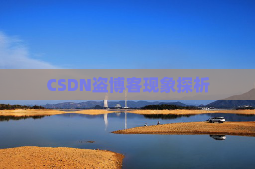 CSDN盗博客现象探析